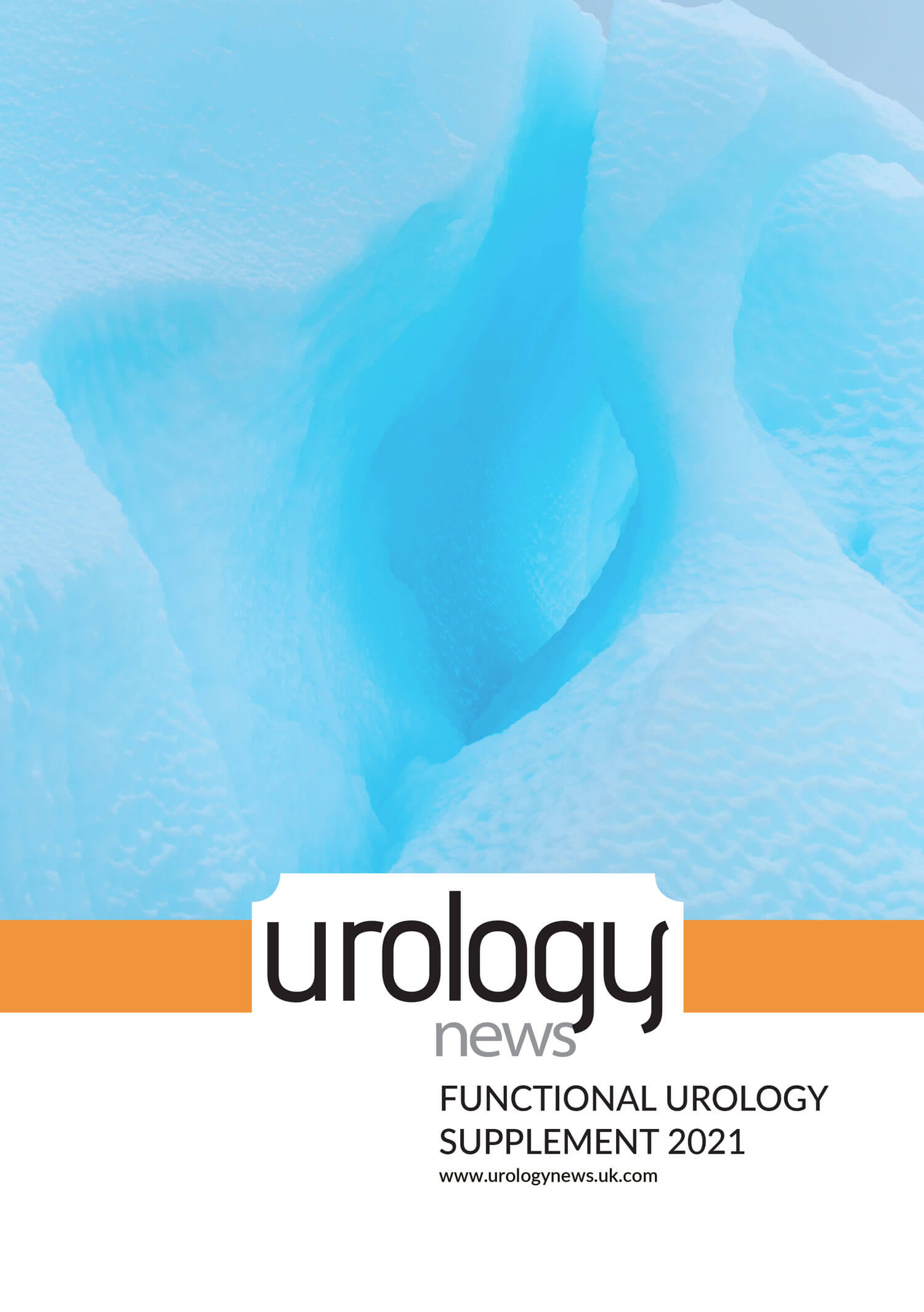 For-web-Functional-Urology-Supplement-cover.jpg