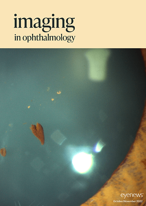 EYE_Imaging _2022.png