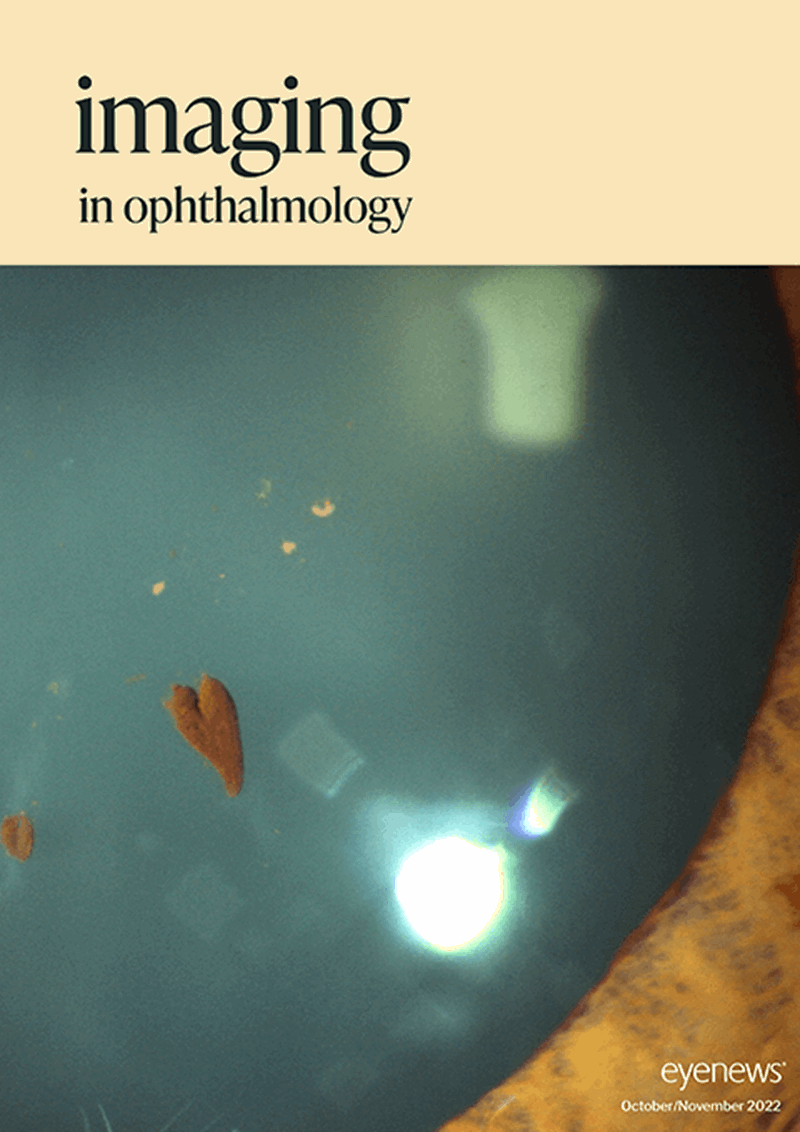 EYE_Imaging _2022.png