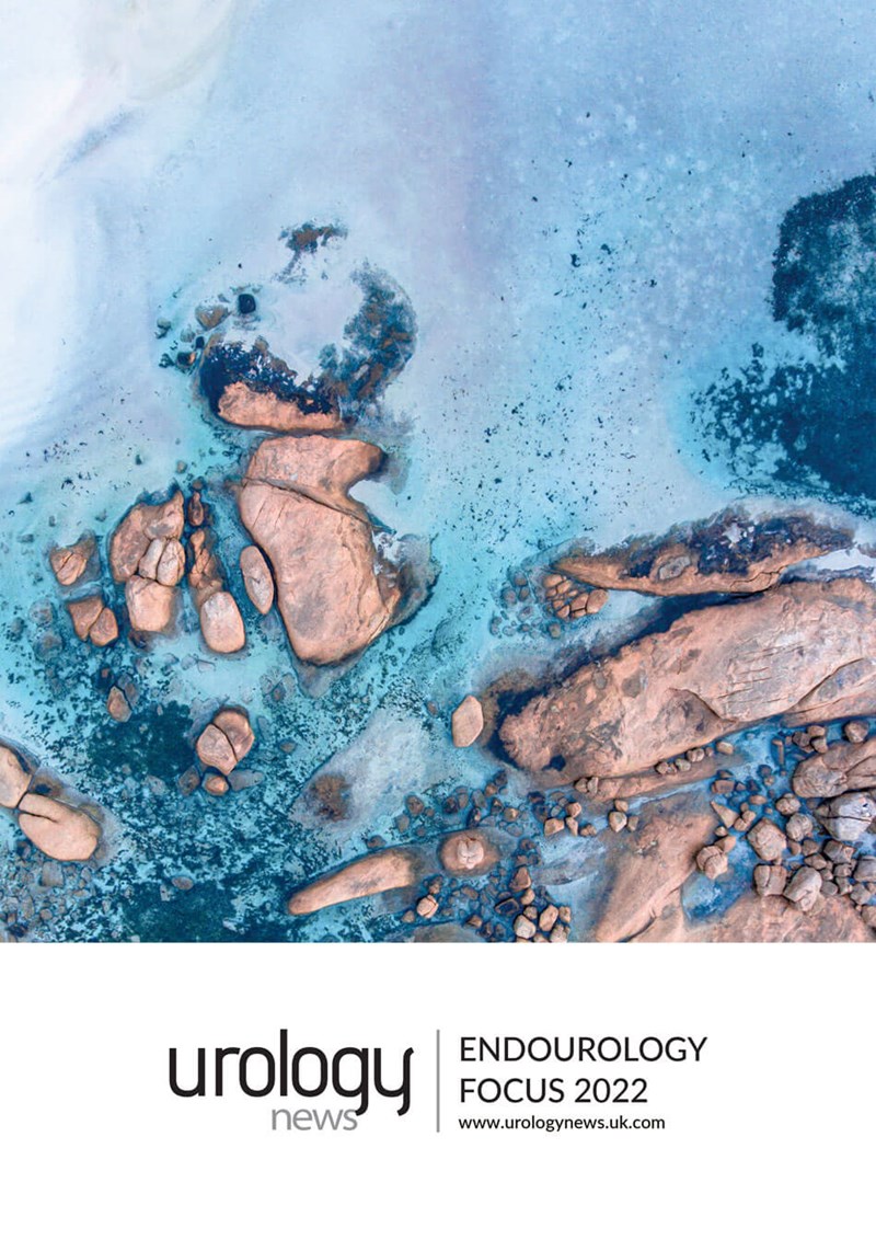 Endourology-Focus-2022-front-cover.jpg