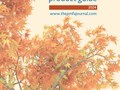 PMFA-PG-2024---cover-image.jpg