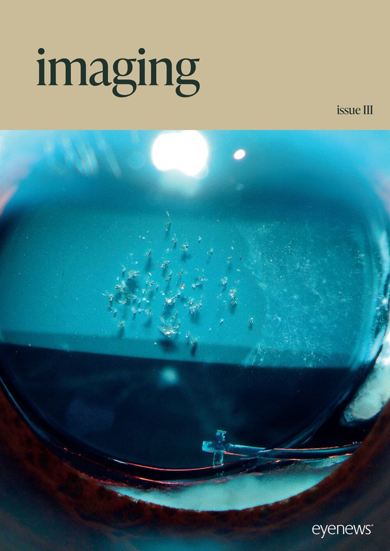 EYE_Imaging_III_AS24-FRONT-COVER.jpg
